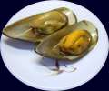 mussels